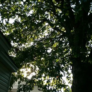 Meet your Posher, Shauns